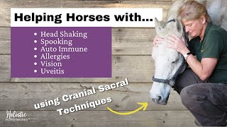 Helping Horses with Head Shaking Spooking Auto Immune amp Allergies Cranial Sacral  April Love [upl. by Paehpos]