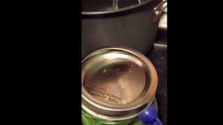 How to use the Elite 8 qt Electronic Pressure Cooker for canning [upl. by Erapsag]