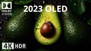 2023 OLED Demo l 4K HDR 60FPS Dolby Vision BLACK BEAUTY [upl. by Akiemehs308]