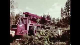 Forestry in Sweden 1969 [upl. by Umberto]