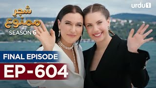 ShajareMamnu  Episode 604  Turkish Drama Forbidden Fruit  Urdu Dubbing  18 October 2023 [upl. by Hedges]