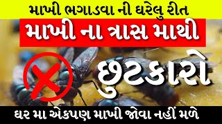 માખીના ત્રાસમાંથી છુટકારો  ૨ જ મીનીટમા માખી ઘરમાંથી બહાર નીકળી જશે  House Fly Removal Tips [upl. by Flosser]