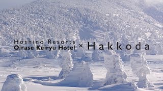 Mt Hakkoda Skiing amp Hoshino Resorts Oirase Keiryu Hotel [upl. by Geminius609]