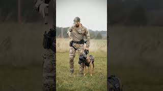 k9 dog  tactical dogtraining k9 dog [upl. by Fran]