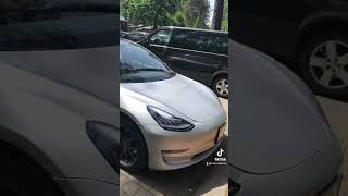 Tesla Model 3 в Шале Гринвуд [upl. by Ainevul]