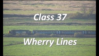 Class 37  Wherry Lines  Somerleyton to Oulton Broad North  Drone [upl. by Garrison]