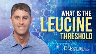 What Is The Leucine Threshold [upl. by Nostaw]