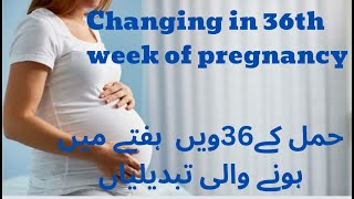 37th  38th week of Pregnancy  Pregnancy week by week in Hindi Dr Pallavi  Femcare Fertility [upl. by Eicrad]