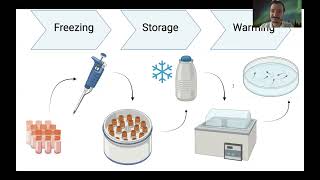 Cryopreservation Explained [upl. by Claudius]