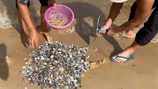 CLAM DIGGING IN Sand  Finding clams by hand [upl. by Aldred85]