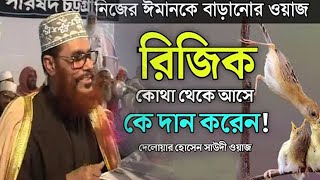 রিজিক কি দেলোয়ার হোসেন সাউদী delwar hussain saidi trimcut5 voiceofdin [upl. by Anole]