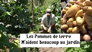 Faire ses semences au potager [upl. by Llyrat710]