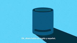 How to Talk to Alexa in English and Spanish  Amazon Alexa [upl. by Lraed]