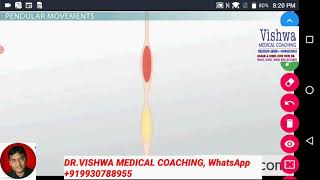 PENDULAR MOVEMENT SMALL INTESTINE animation by DRVISHWA MEDICAL COACHING [upl. by Gati]