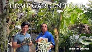 Platycerium Utopia A Dream Home Garden for Staghorn Enthusiasts  Garden Tour  Pro Tips [upl. by Shanly]