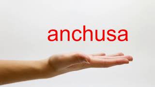 How to Pronounce anchusa  American English [upl. by Ylellan]