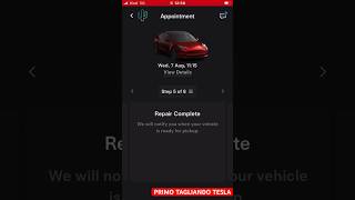 Primo tagliando Tesla Model 3 con L’App Come funziona [upl. by Shoemaker16]