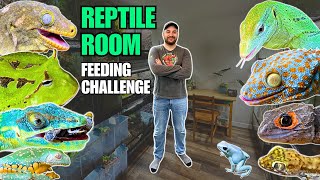 REPTILE ROOM FEEDING CHALLENGE Lizards Snakes Frogs and Arachnids [upl. by Monjo]