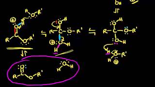 Preparation of esters via Fischer esterification  Organic chemistry  Khan Academy [upl. by Sacram767]