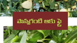 Alternanthera SessilisPonnaganti Kura fryPonnangani fryPonnamani Keerai frylentil recipe [upl. by Alexis]