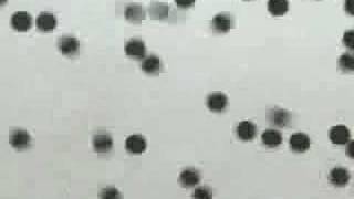 Chemistry with Haui Particles and states of matter [upl. by Meadow]