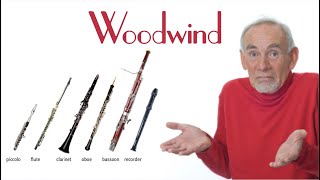 The Sections of the Orchestra Woodwind [upl. by Westberg163]