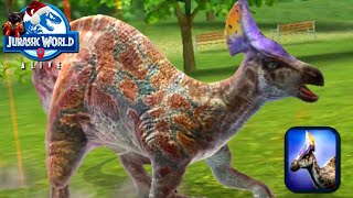 Olorotitan Hatchet skin in Action  Jurassic World Alive [upl. by Adnauqaj]