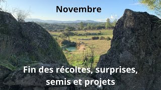 Novembre fin des récoltes SURPRISES semis et projets [upl. by Mallorie]