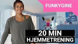 20 MIN ENKEL ØKT  FUNKYGINE [upl. by Durwyn]