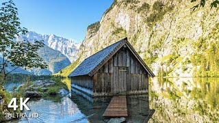 Obersee 4K  One of the most beautiful lakes in Germany [upl. by Yvonner]