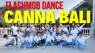 FLASH MOB DANCE BALI  EVENT GRAND OPENING CANNA BEACHCLUB BALI [upl. by Eissolf755]