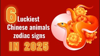 Are you among the 6 luckiest chinese zodiac signs in 2025 🎎 [upl. by Gnad]