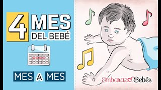 📆👶🏻 CUARTO MES del bebé  4 MES  Desarrollo y cuidados [upl. by Annirtak]