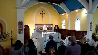 St Catherines Mass 23rd Sunday in Ordinary Time 8th September 2024 [upl. by Ellenwad]