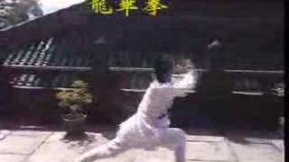 Wudang Kung Fu 龙华拳 Wudang Dragon Quan [upl. by Letney630]