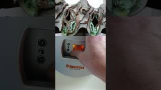 24kW🔥Immergas Nike Star конец подкрался незаметно битермический теплообменник ГВС Тепло Без Газа [upl. by Mingche]