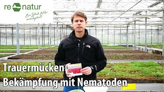 Trauermücken mit Nematoden bekämpfen [upl. by Nnaj375]