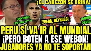 REYNOSO RENUNCIA PHILLIP EXPLOTA Y MANDA A LA MRD4 A CABEZ0N EN VIVO Y LO PTEA X DERROTA DE PERÚ [upl. by Fattal]