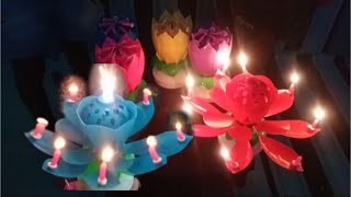 Tiup Lilinnya  Tiup lilin warnawarni  Lilin Ultah bunga [upl. by Ecyaj547]