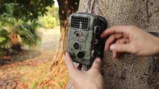 How To Use Apeman Hunting Camera H65 [upl. by Borek]