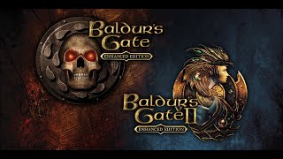 Baldurs Gate Enhanced Edition Switch Gameplay [upl. by Acnalb]