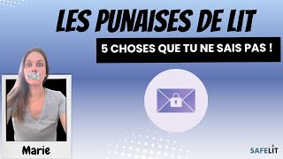 5 choses que tu ignores sur les punaises de lit [upl. by Naesal]