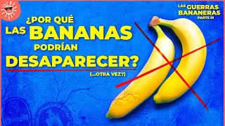 ¿DESAPARECERÁN LAS BANANAS 😨  El fin de las Repúblicas Bananeras Guerras Bananeras Parte III [upl. by Akinihs349]