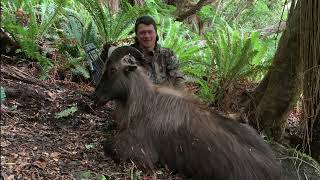 State Highway 6 to the Tussock Bow hunting bull tahr [upl. by Suisyola]