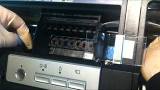 How to Clean your Printers Print Head [upl. by Doig]