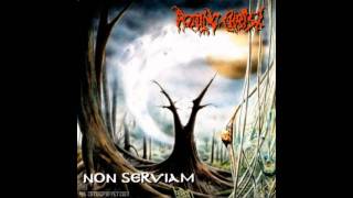 Rotting Christ  Non Serviam Lyrics HD [upl. by Cioffred]