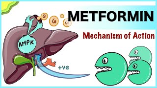 Antidiabetic Drugs Medicinal Chemistry Part 3 Biguanide Thiazolidinediones amp Meglitinides [upl. by Zetroc]