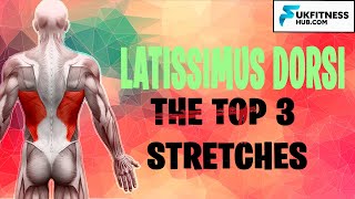 Latissimus Dorsi Anatomy And Best Stretches To Relieve Tightness [upl. by Dranel]