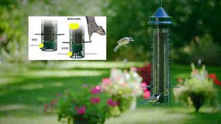 Squirrel Buster Finch Wild Bird Feeder [upl. by Gav]