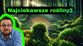 Mchy Przemiana pokoleń Znaczenie mchów Budowa mchów Szybka i łatwa nauka biologii Mszaki [upl. by Sinne45]